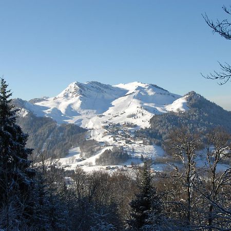 Hotel Les Skieurs Bellevaux Zewnętrze zdjęcie