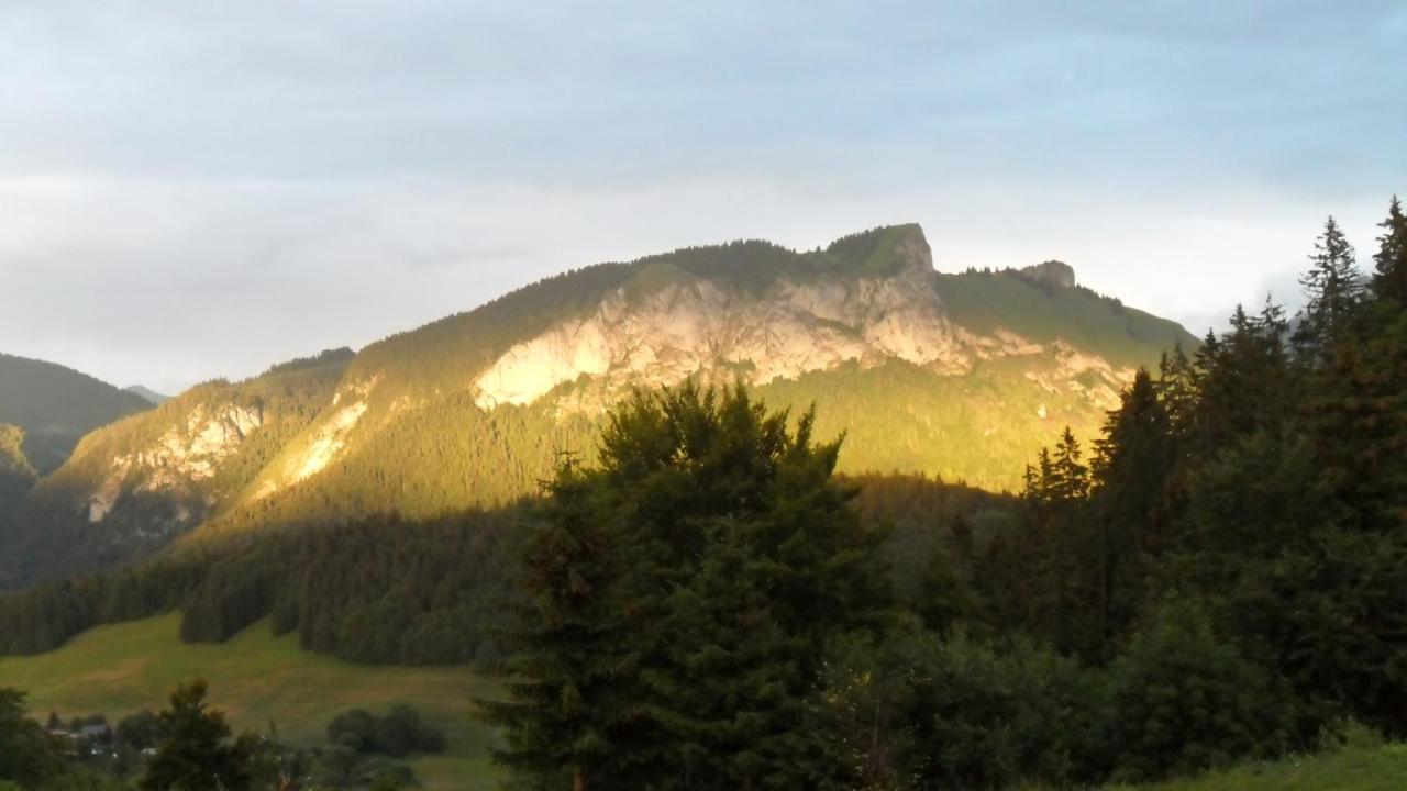 Hotel Les Skieurs Bellevaux Zewnętrze zdjęcie